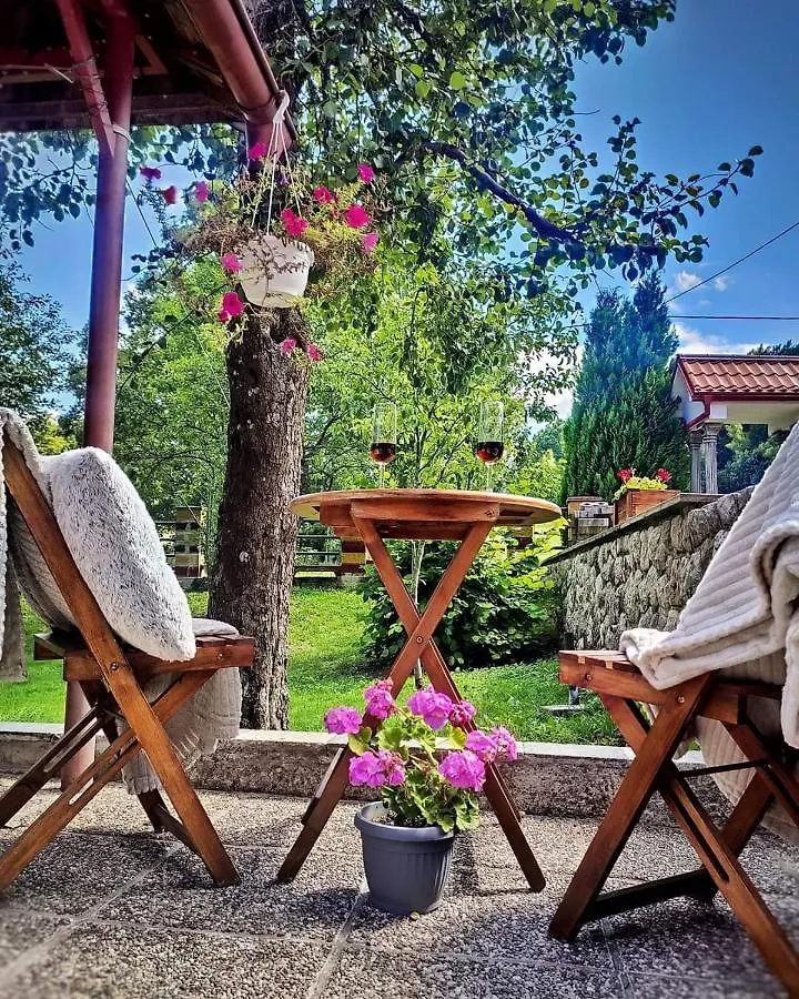 Angel Holiday House Ravna Gora Semesterbostad