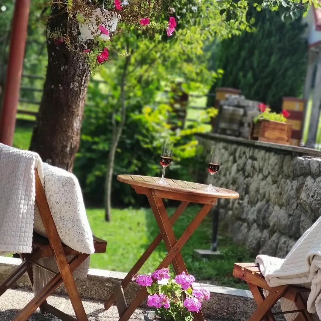 Angel Holiday House Ravna Gora Semesterbostad